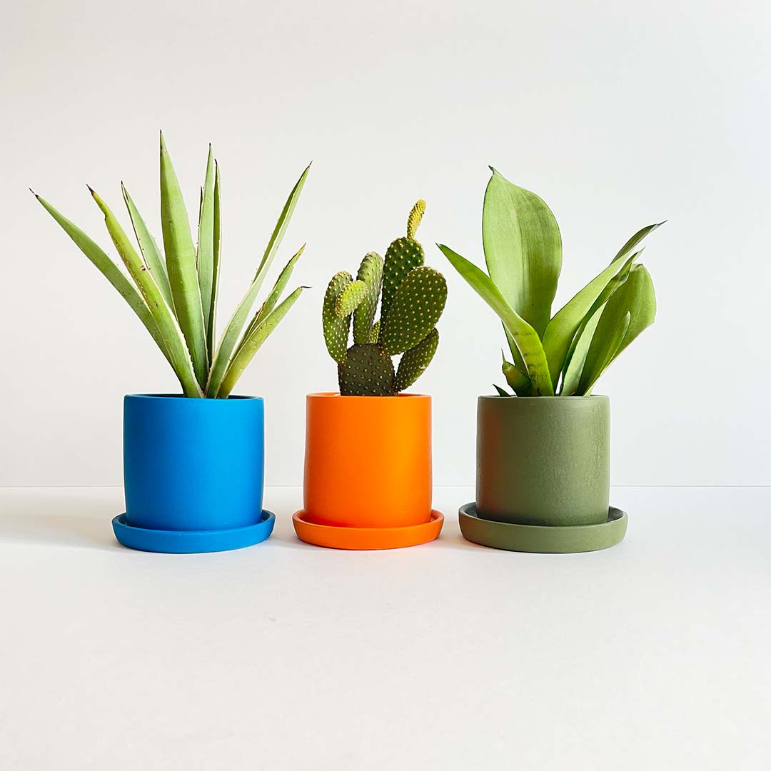 The Botanica plant Set